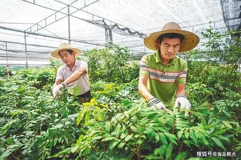 智能家居设备小蜜蜂与猫王音箱能否连接？研究历程与成果分享  第7张