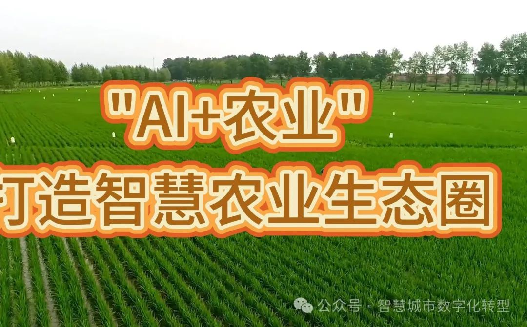 5G 技术发展现状与前景：从智能手机到全面普及的挑战与机遇  第3张