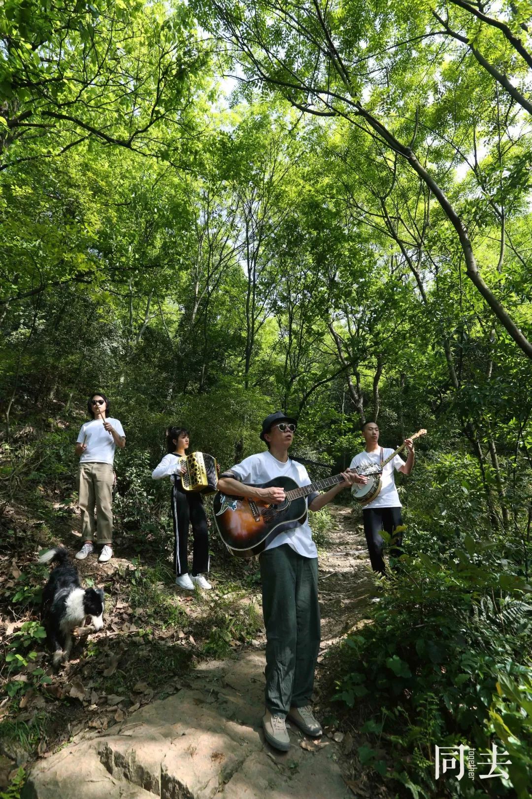 音响设备、电吉他与音频接口：探寻音乐之旅中的神秘默契  第4张