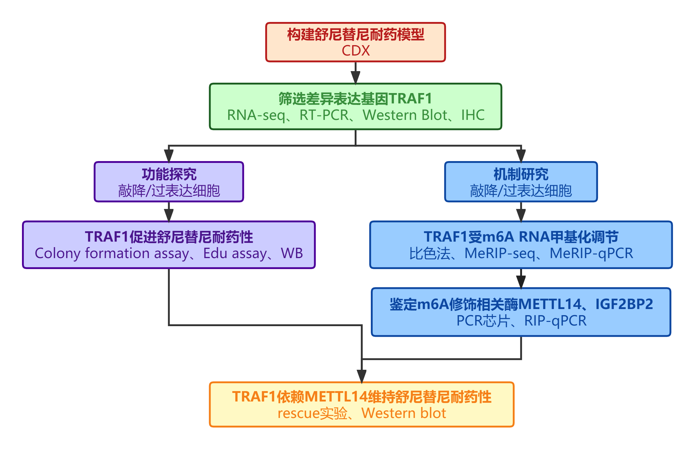 5G网络：革命性技术还是健康隐患？  第5张