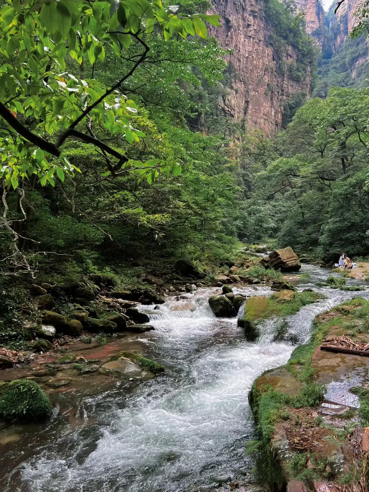 解决蓝牙音箱连接问题的实用建议，助你顺利享受音乐  第4张