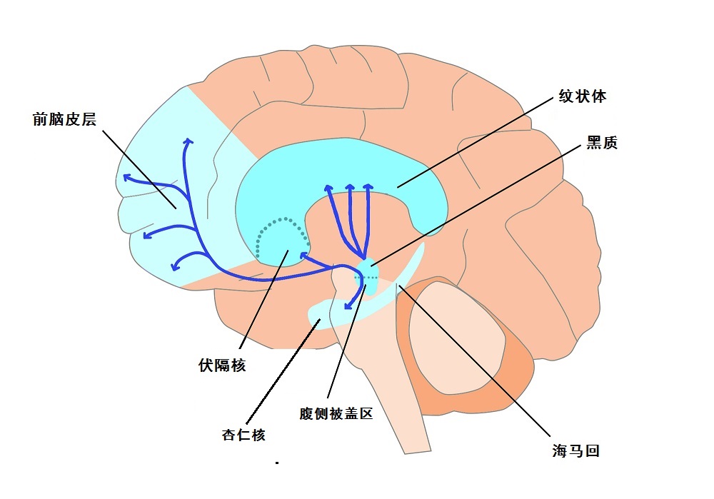 原生态安卓 12 系统：利弊得失与对日常生活的影响  第5张