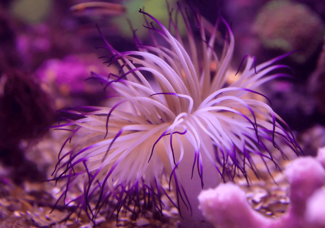 鸿蒙原生版今日头条，一次开发多端部署，让你轻松了解天下事  第11张