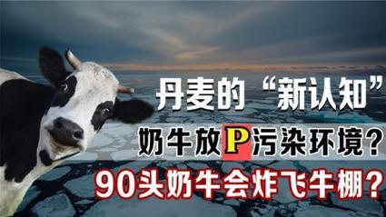 奶牛的饮食竟然是全球变暖的幕后黑手？揭秘温室气体与牛的惊人关联  第11张