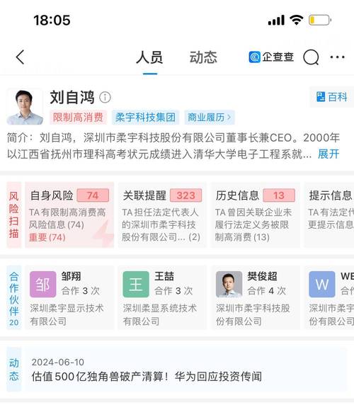 柔宇科技破产拍卖无人问津，12.3亿资产流拍背后有何隐情？  第4张