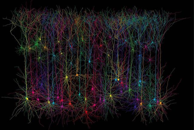 探秘5G网络SRS：连接未来通信的大脑和神经系统  第6张