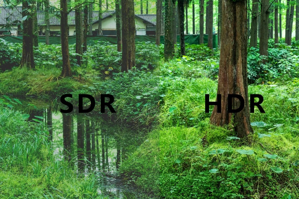 ddr3和hdr的区别 深入解读 DDR3 与 HDR：助您明智选购相关技术产品  第7张