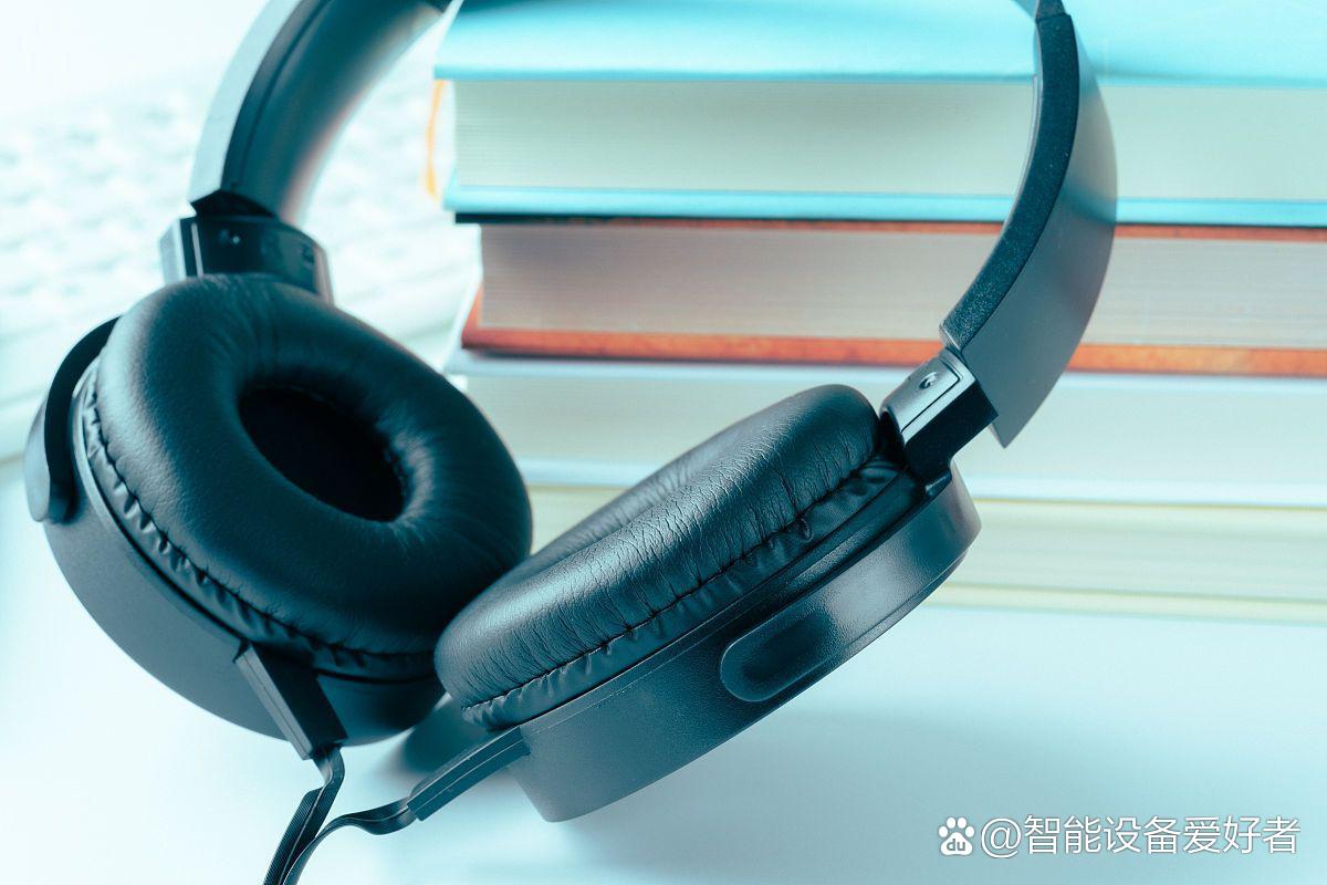 音乐发烧友必知：耳机连接音箱功放的那些事儿  第2张