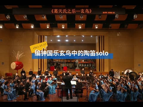 Solo 音响与音箱无缝对接指南：尽享音乐之美  第4张