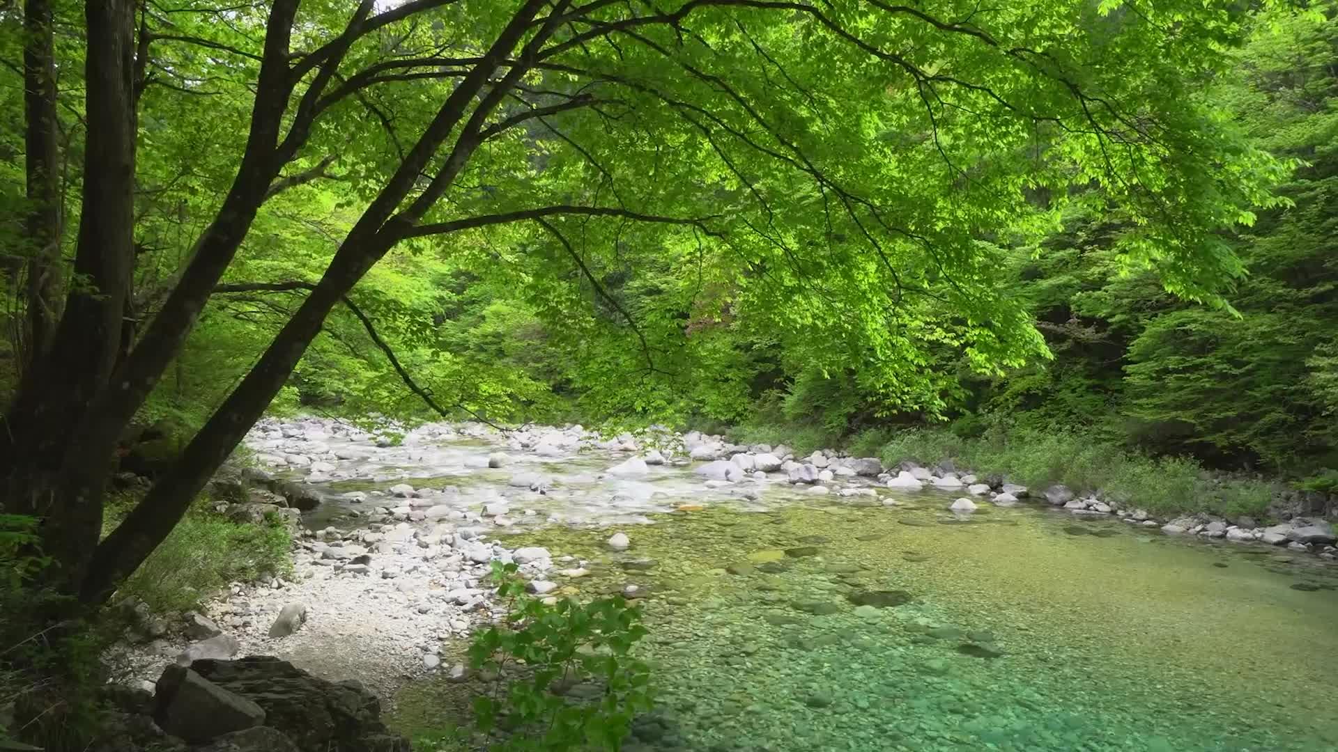 扩展坞音箱：无缝对接多种设备，畅享美妙音乐体验  第3张