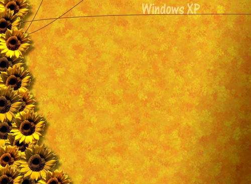 WindowsXP 系统下连接音箱的实用技巧与有趣经验分享  第2张