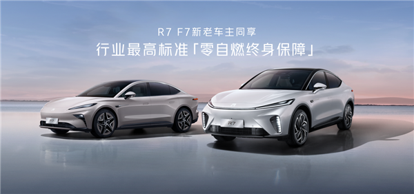 2025 年第一季度，中大型纯电 SUV 市场将再添一款重磅车型  第10张