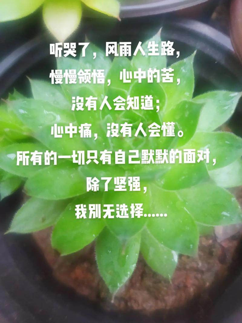 如果当时我做了不同的选择，现在的我会是什么样子？  第10张