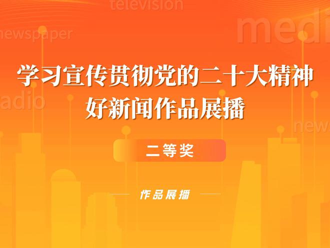 蓝钻GT310显卡：十大特性解密，游戏设计两相宜  第8张