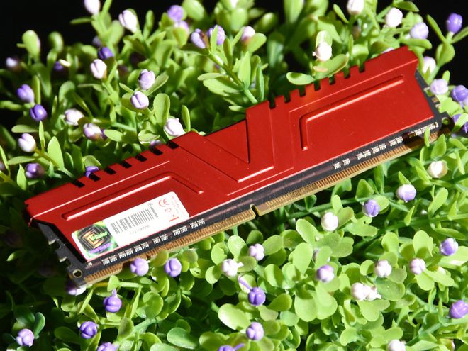 极速体验！DDR32133红色威龙超频内存震撼登场，游戏性能再升级  第1张
