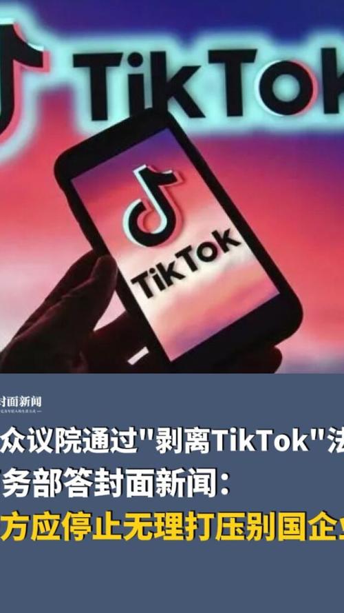 TikTok生死时刻：1月19日或将成美国用户最后的狂欢？  第2张