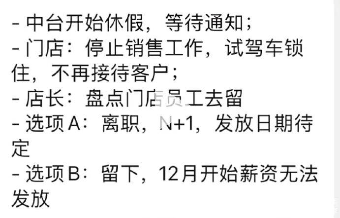 极越汽车闪崩后续：1.3万名车主权益受损，终身免费充电服务或将取消？  第8张