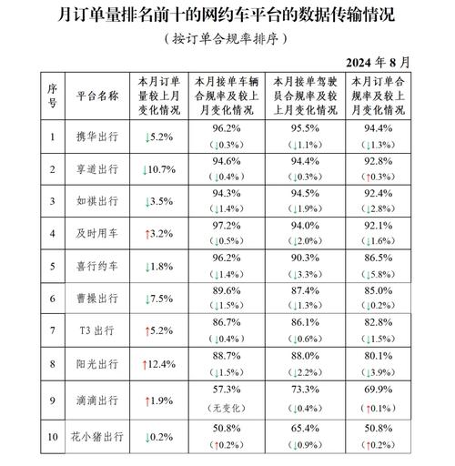 合肥网约车市场大揭秘：日均订单11.5单，八成司机日收入不足300元，你敢入行吗？  第5张