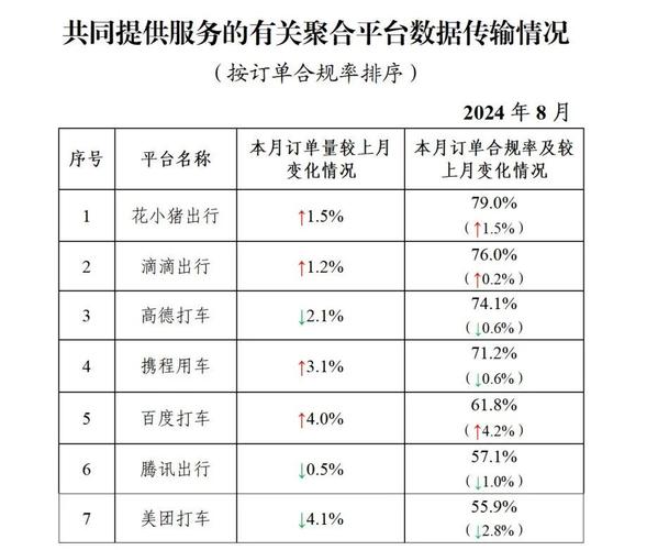 合肥网约车市场大揭秘：日均订单11.5单，八成司机日收入不足300元，你敢入行吗？  第6张