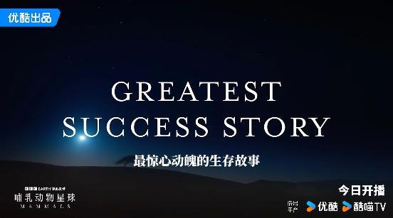 探秘DDR4内存的改良措施与科技创新，揭示其对计算机性能的深远影响  第2张