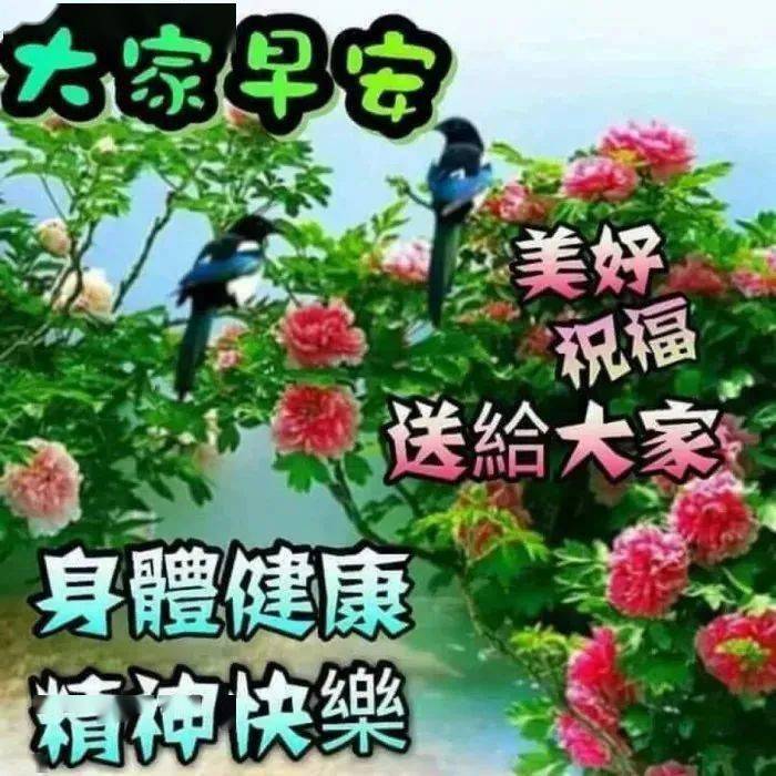 潍城区5G网络改变生活，通讯更便捷实时互动体验温馨与愉悦  第7张