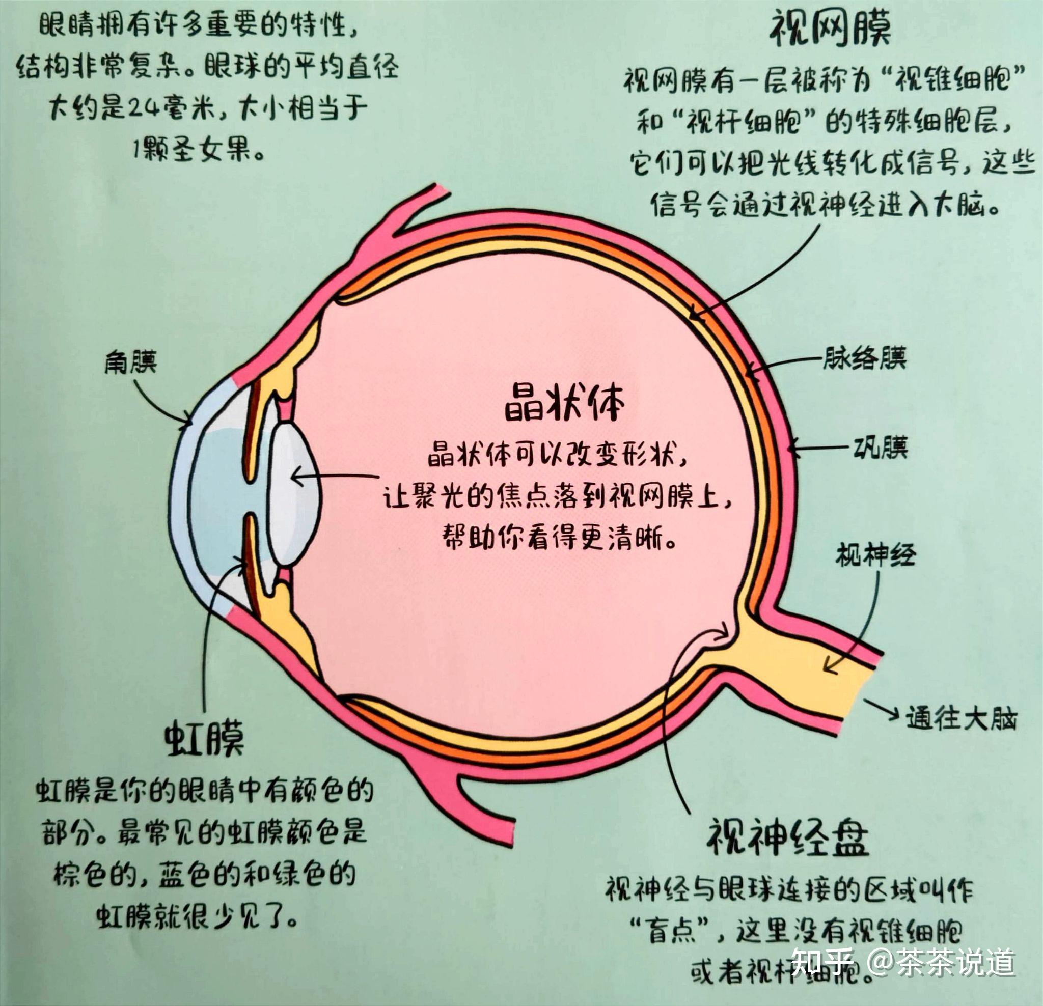 电子工程师分享DDR信号测试的深入理解与实践心得  第8张