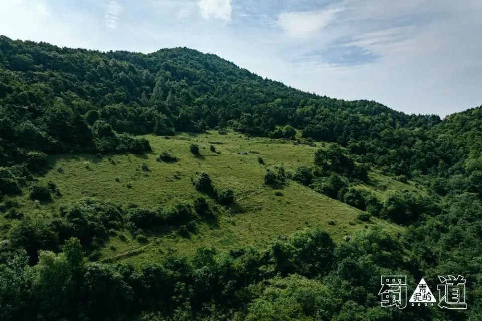 显卡8528gt 8528GT 显卡：硬件行家的挚爱，见证学习历程的珍贵伙伴  第9张