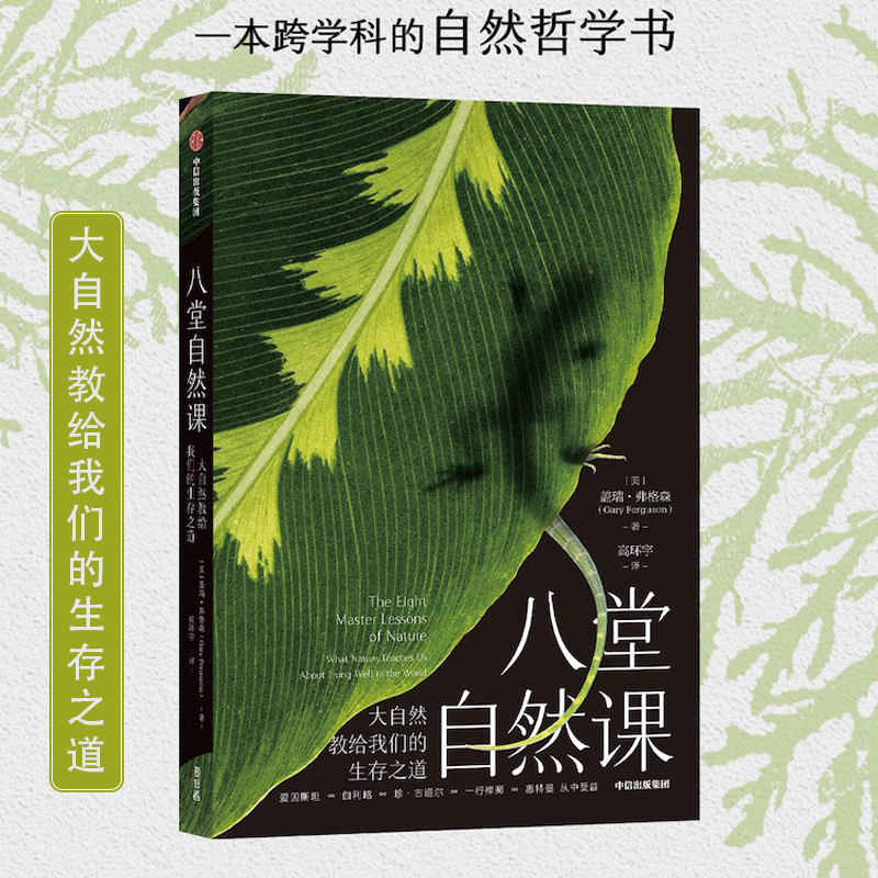 深度安卓使用者的仿系统探索之旅：领略不同操作系统的魅力与哲学  第2张