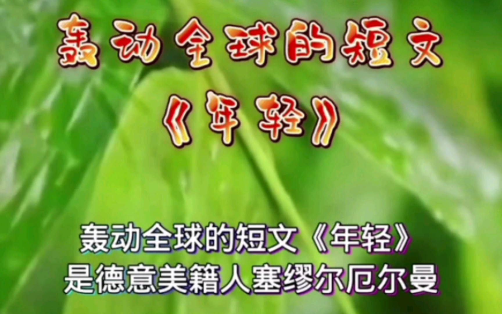 深度安卓使用者的仿系统探索之旅：领略不同操作系统的魅力与哲学  第6张