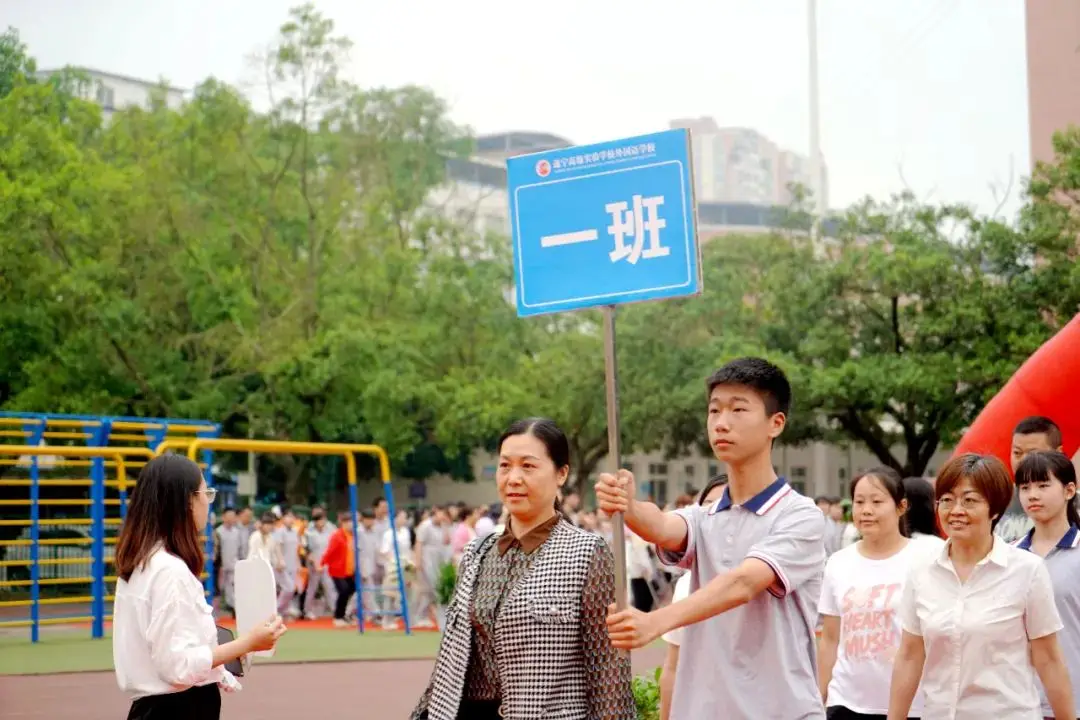 逸彩 9500GT：青春与科技的美好记忆，电脑硬件的挚爱之选  第4张