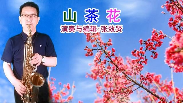 电脑与音箱连接指南：让优美旋律在耳畔回响  第7张