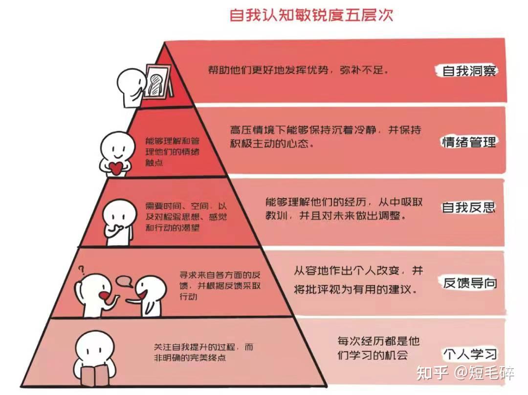 安卓系统版本：持续进化的里程碑，满足用户需求的操作系统  第2张