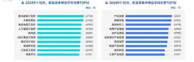 揭秘2024年职场新趋势：非技术人才出海成热门，技术岗位却依然紧缺  第6张