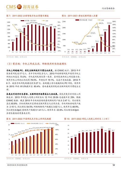 揭秘2024年匿名化技术应用与挑战：极光等科技巨头如何引领行业变革？  第3张