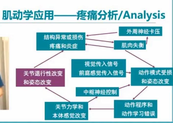 主动健康新趋势：专家齐聚广州，揭秘未来健康管理方向  第4张