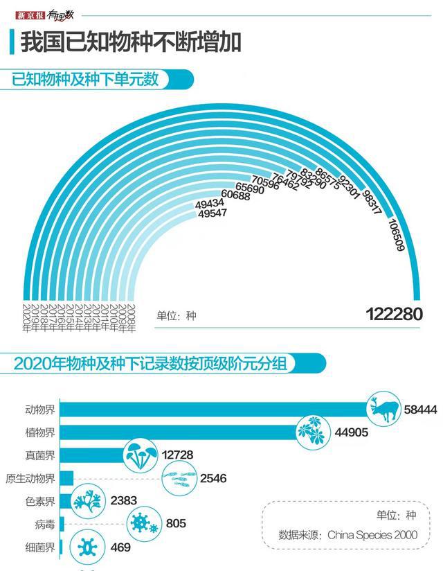 安卓系统多样性揭秘：主流手机系统比较，助你明智购机  第4张