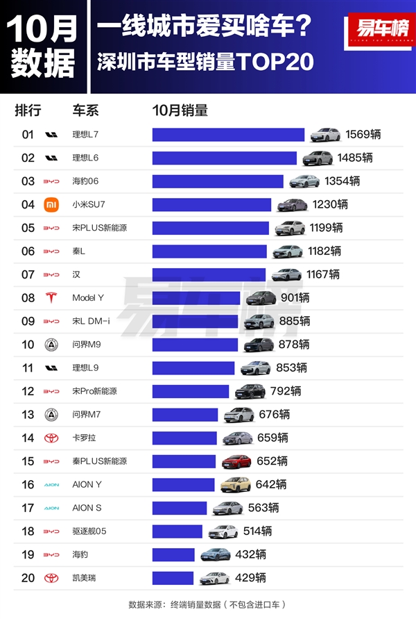 一线城市汽车销量榜出炉，比亚迪和特斯拉竟成最大赢家  第14张