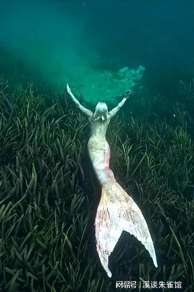 痛心！美人鱼原型儒艮遭非法猎杀，凶手竟迷信其尖牙和眼泪可辟邪  第6张