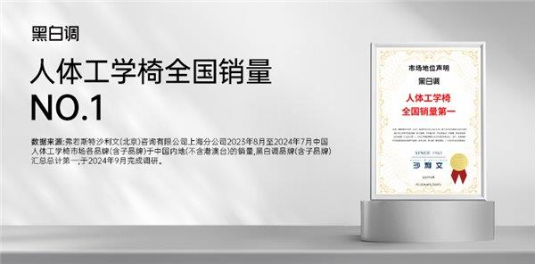 行业领导品牌黑白调，2024 年迎来关键转折，实力引领市场发展  第2张