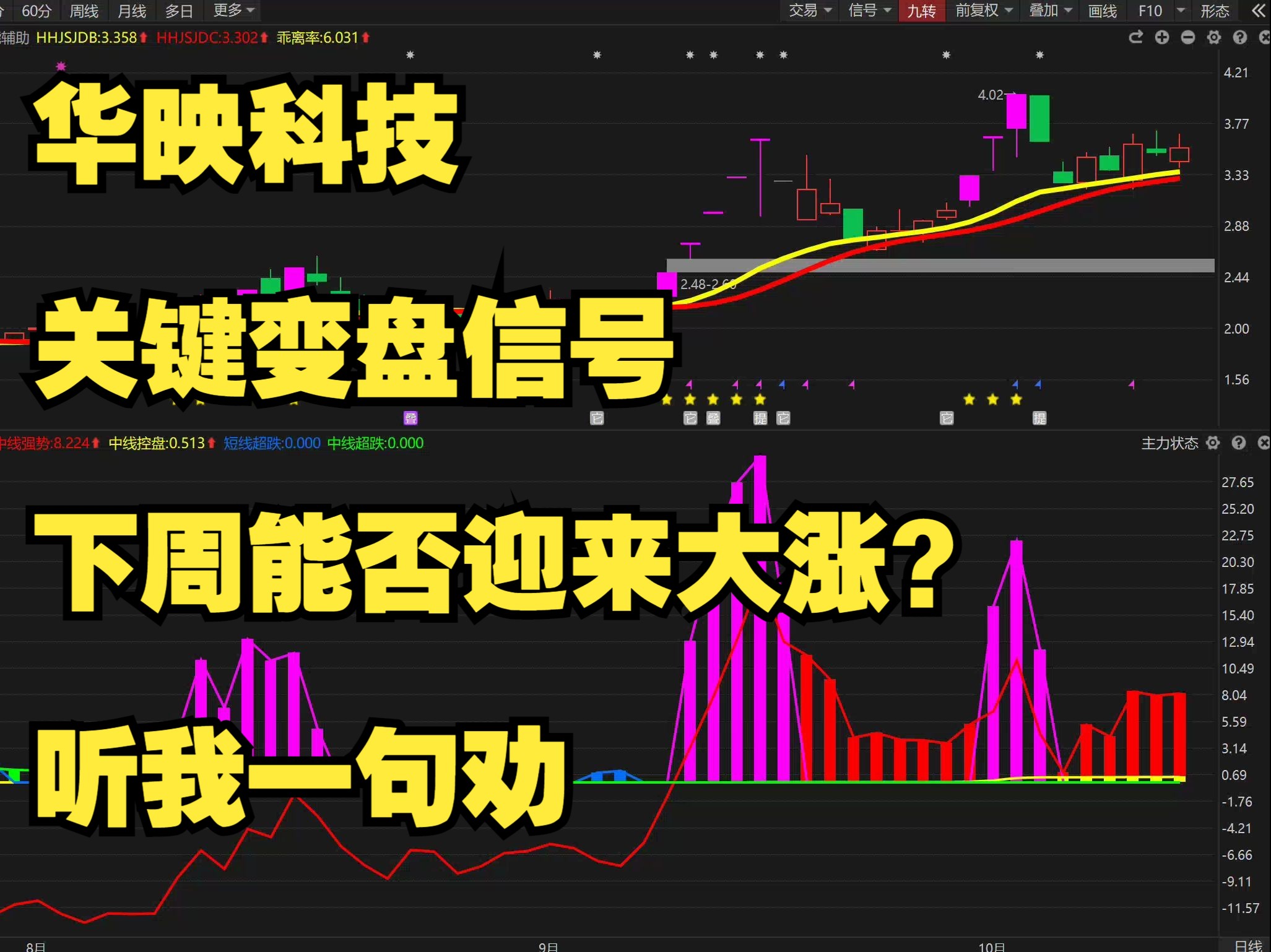 行业领导品牌黑白调，2024 年迎来关键转折，实力引领市场发展  第5张