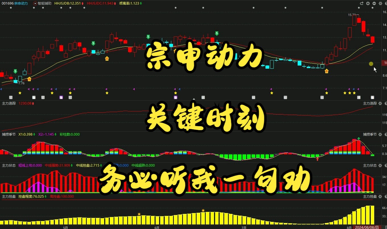 行业领导品牌黑白调，2024 年迎来关键转折，实力引领市场发展  第7张