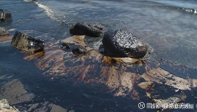 黑海风暴引发灾难性石油泄漏，数十公里海岸线遭污染，生态危机迫在眉睫  第6张