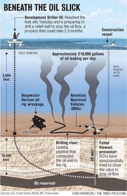 黑海风暴引发灾难性石油泄漏，数十公里海岸线遭污染，生态危机迫在眉睫  第10张