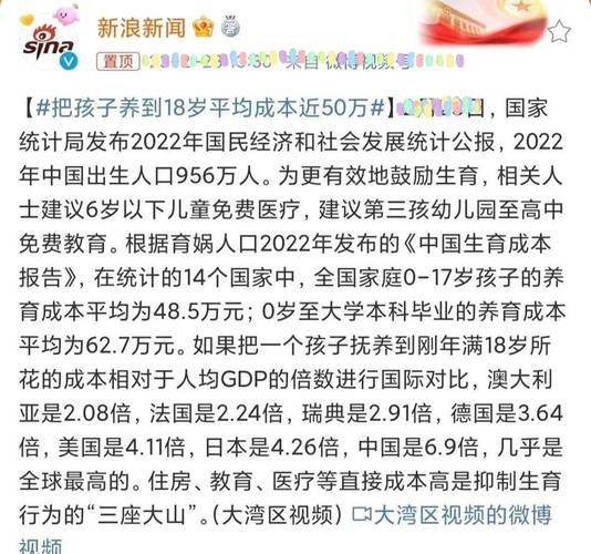 同一个爸妈，不一样的娃：二胎家庭中隐藏的性格差异大揭秘  第5张