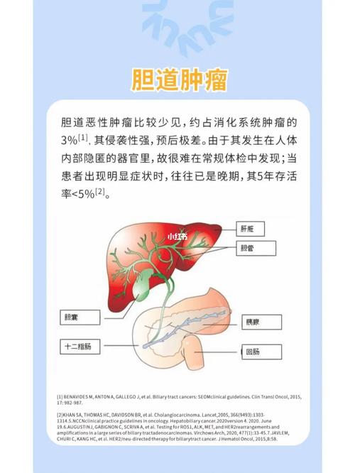 66岁婆婆腹痛难忍，胆囊竟被结石填满，医生惊呼：这病不能再拖  第5张