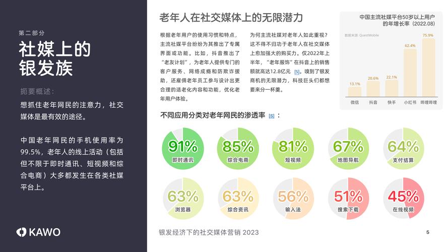 2023年银发经济大爆发：6.5亿中老年人的消费潜力如何引爆市场？  第4张