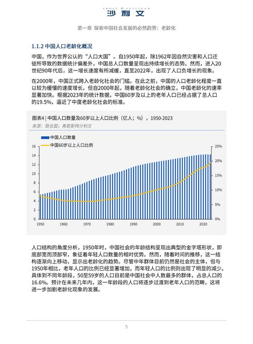 2023年银发经济大爆发：6.5亿中老年人的消费潜力如何引爆市场？  第9张