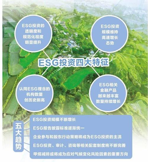 2°C临界点逼近，TCL魏雪揭秘企业ESG实践如何重构未来价值  第5张