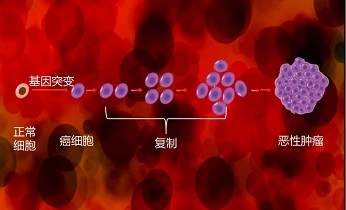 DDR基因：守护遗传稳定，防止细胞变异  第4张