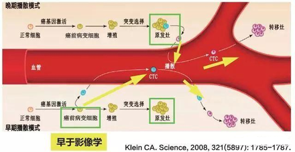 DDR基因：守护遗传稳定，防止细胞变异  第7张